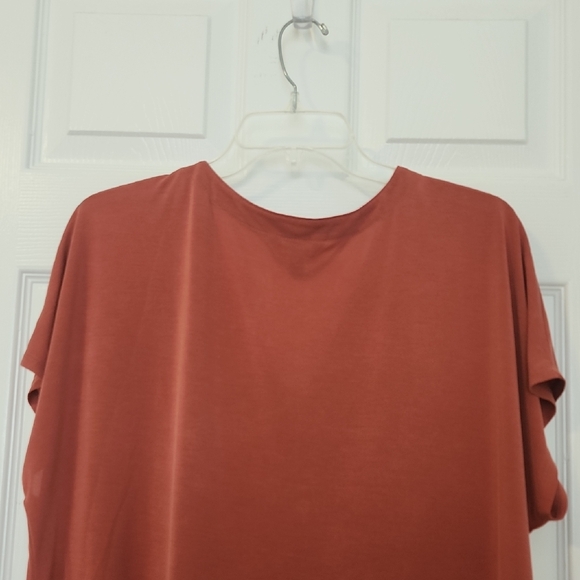 Time and Tru Rust V-Neck Tee - Picture 6 of 9